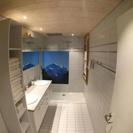 Apartment Alp 46 By Interhome 아파트 인터라켄